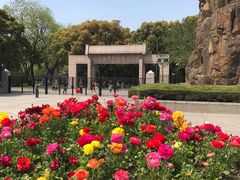 -上海市龙华烈士陵园