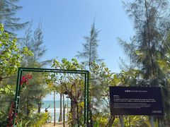 -三亚海棠湾喜来登度假酒店