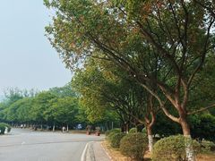 -南京市江宁方山