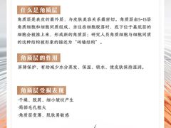 -上海明天广场JW万豪酒店