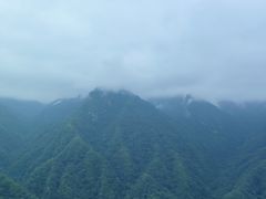 -陕西省红河谷森林公园