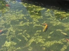 -贵州省植物园