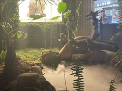 -杭州温德姆至尊豪廷大酒店