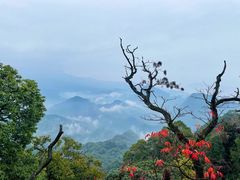 -青城山