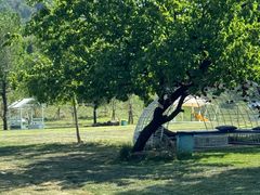 -潭柘厚院&山顶烤肉(潭柘寺店)