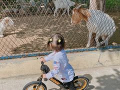 -酷迈儿童体能运动馆(九棵树店)