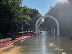 -黑龙江省森林植物园