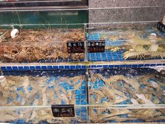 水产区-飞尝蚝·顺德菜·鱼生(顺德总店)