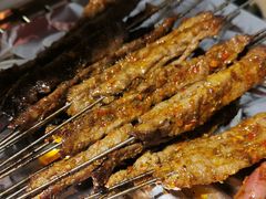 烤羊肉-小院烤肉(公园南路店)