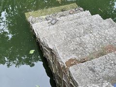 -南岳大庙