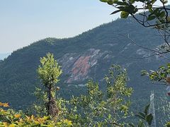-长沙黑麋峰国家森林公园