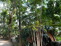 -北京植物园-展览温室