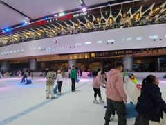 -TheRink大零溜冰场(IFS国金中心店)