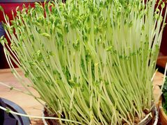-好彩猪肚鸡(正弘城店)