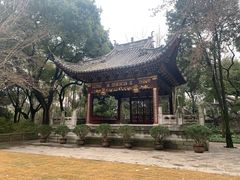 -汇龙潭