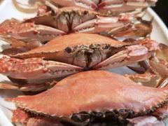 -大锅强·蒸海鲜青岛菜(吾悦广场店)