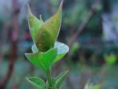 -西安市长乐公园