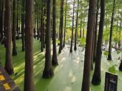 -云龙湖旅游景区