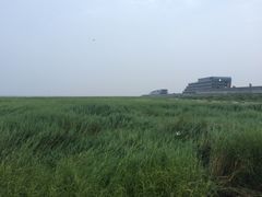 -南汇嘴观海公园