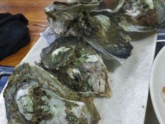-大富蚝乌东哥饭店·石锅鱼杂·柠檬鸭(革新路店)