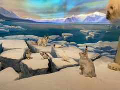 -陕西自然博物馆