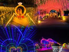 -广东花都香草世界旅游度假区