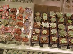 -KKV(天津津南吾悦广场店)
