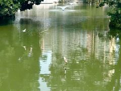 -人民公园(罗湖区)