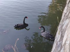 -颐和园