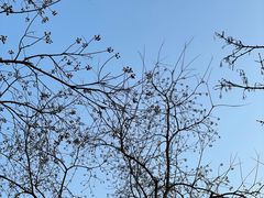 -COFFEE CALL(云锦路店)