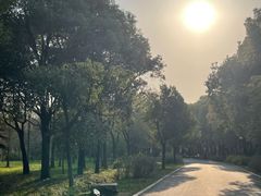 -蜀冈西峰生态公园