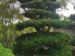 -南山植物园