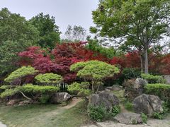 -郑州植物园
