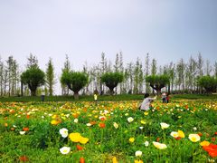 -汉长安城未央宫国家考古遗址公园