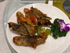 -东国海鲜火锅城(氹仔店)