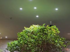 -森SPA·泰式按摩·精油Massage(宝安中心店)
