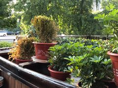 -丹江渔村(望京店)