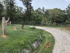 -深圳野生动物园