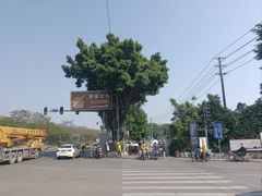-黄埔古港