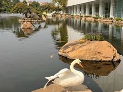 -罗红摄影艺术馆