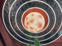 -Dragon Pizza•圆脸龙披萨·牛排餐厅