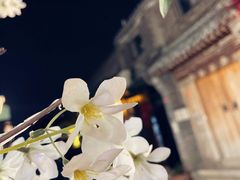 -五道营胡同