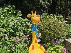 -上海共青森林公园