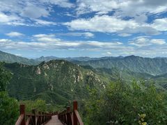 -大岭沟猕猴桃谷风景区