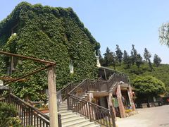 -天地生态农庄