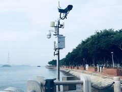 -鼓浪屿内厝澳码头(轮渡站)