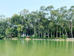 -西湖公园(鼓楼区)