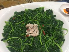土猪肉浸苋菜-鹅城