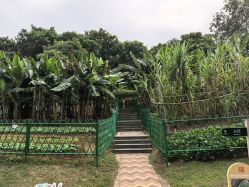 -番禺儿童公园