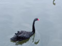 -成都南湖公园